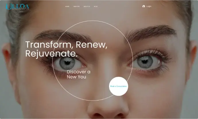 Image from the Ulloa website with model eyes in the background